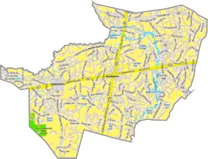 Brantley County Georgia GIS Map showing county boundaries, major roads, cities, highways, rivers, and geographic features.