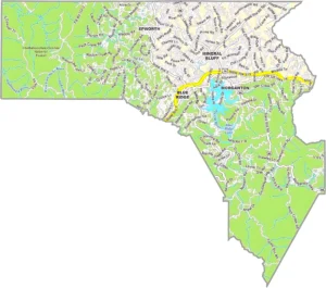 Fannin County Georgia GIS Map showing county boundaries, major roads, cities, highways, rivers, and geographic features.