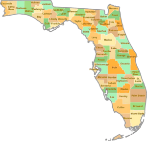 Florida County GIS Map showing county boundaries, roads, towns, and geographic features.
