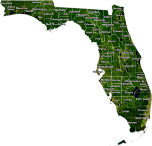Florida Satellite County GIS Map showing county boundaries, roads, towns, and geographic features.