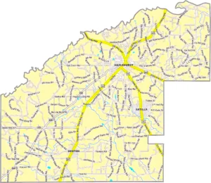 Jeff Davis County Georgia GIS Map showing county boundaries, major roads, cities, highways, rivers, and geographic features.