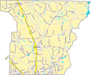 Lee County Georgia GIS Map showing county boundaries, major roads, cities, highways, rivers, and geographic features.