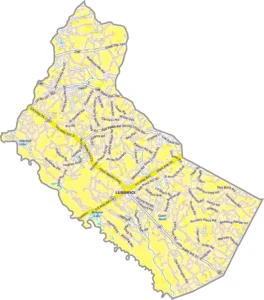 Long County Georgia GIS Map showing county boundaries, major roads, cities, highways, rivers, and geographic features.
