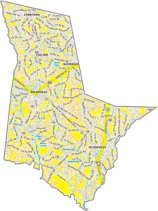 Tattnall County Georgia GIS Map showing county boundaries, major roads, cities, highways, rivers, and geographic features.
