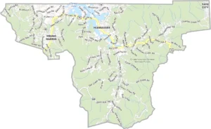 Towns County Georgia GIS Map showing county boundaries, major roads, cities, highways, rivers, and geographic features.