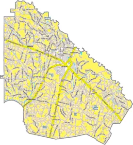 Wayne County Georgia GIS Map showing county boundaries, major roads, cities, highways, rivers, and geographic features.